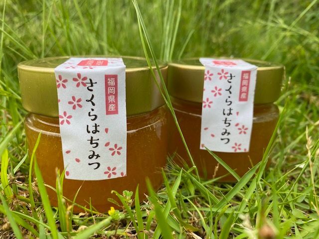 【希少】国産100％純粋蜂蜜　桜はちみつ　福岡県産　非加熱　生はちみつ