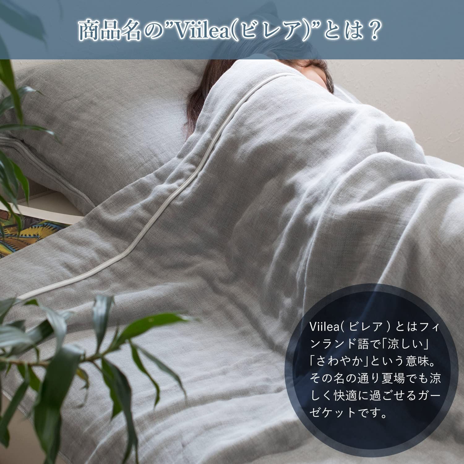 ガーゼケット ビレア 認定 今治タオル ｜ブルーム シングル 数量限定