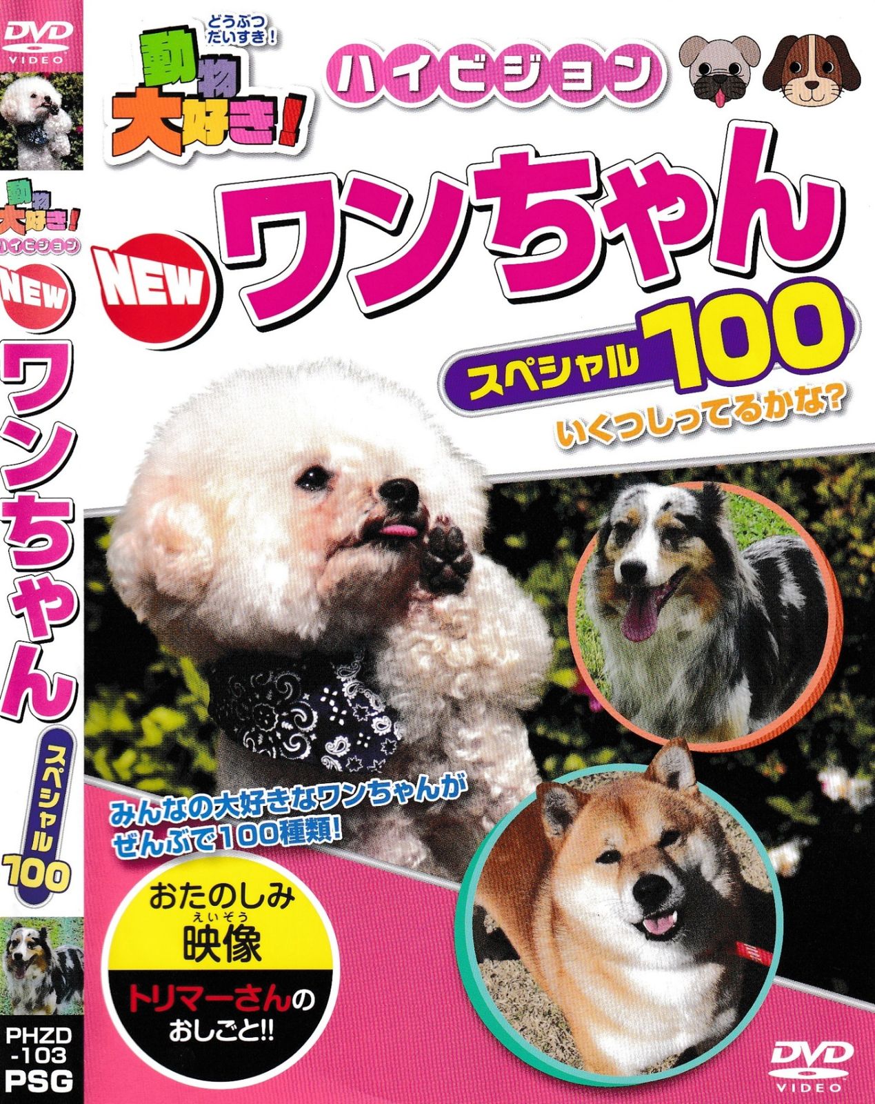 KD 7880 動物大好き！ハイビジョン NEW ワンちゃんスペシャル