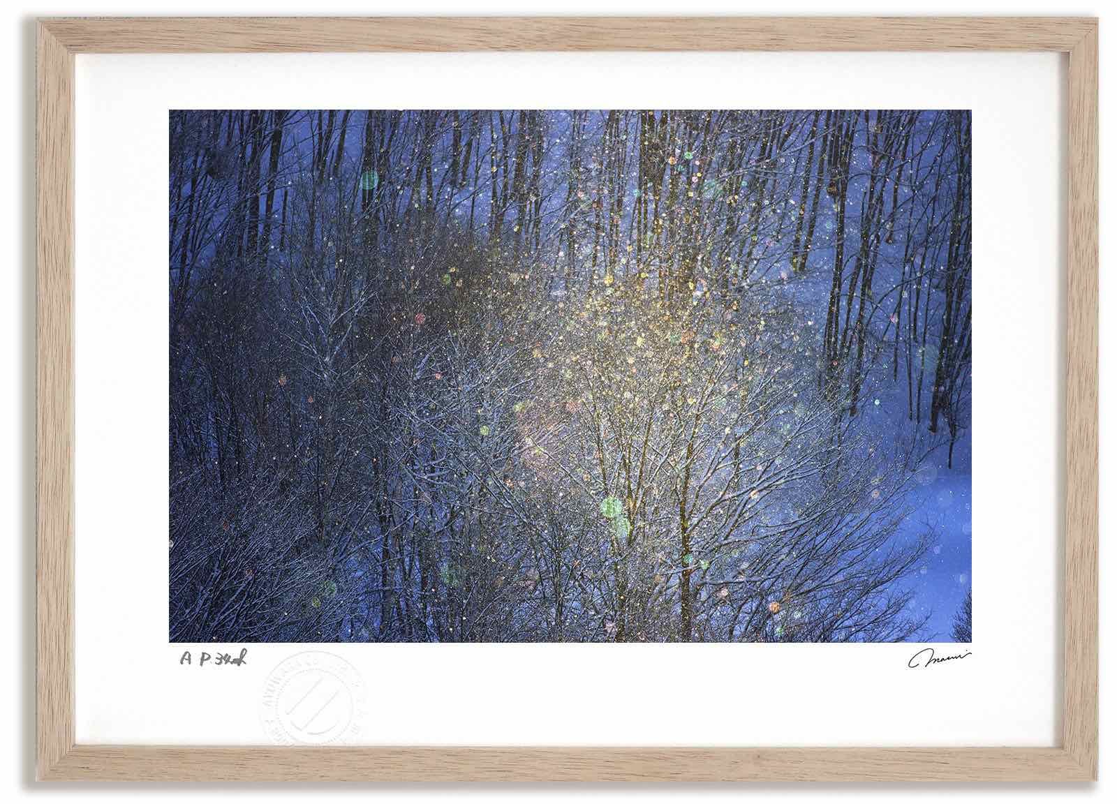 模写】谷文晁/桜に小禽図/小鳥図/掛軸☆宝船☆Y-511 JM 模写】谷文晁