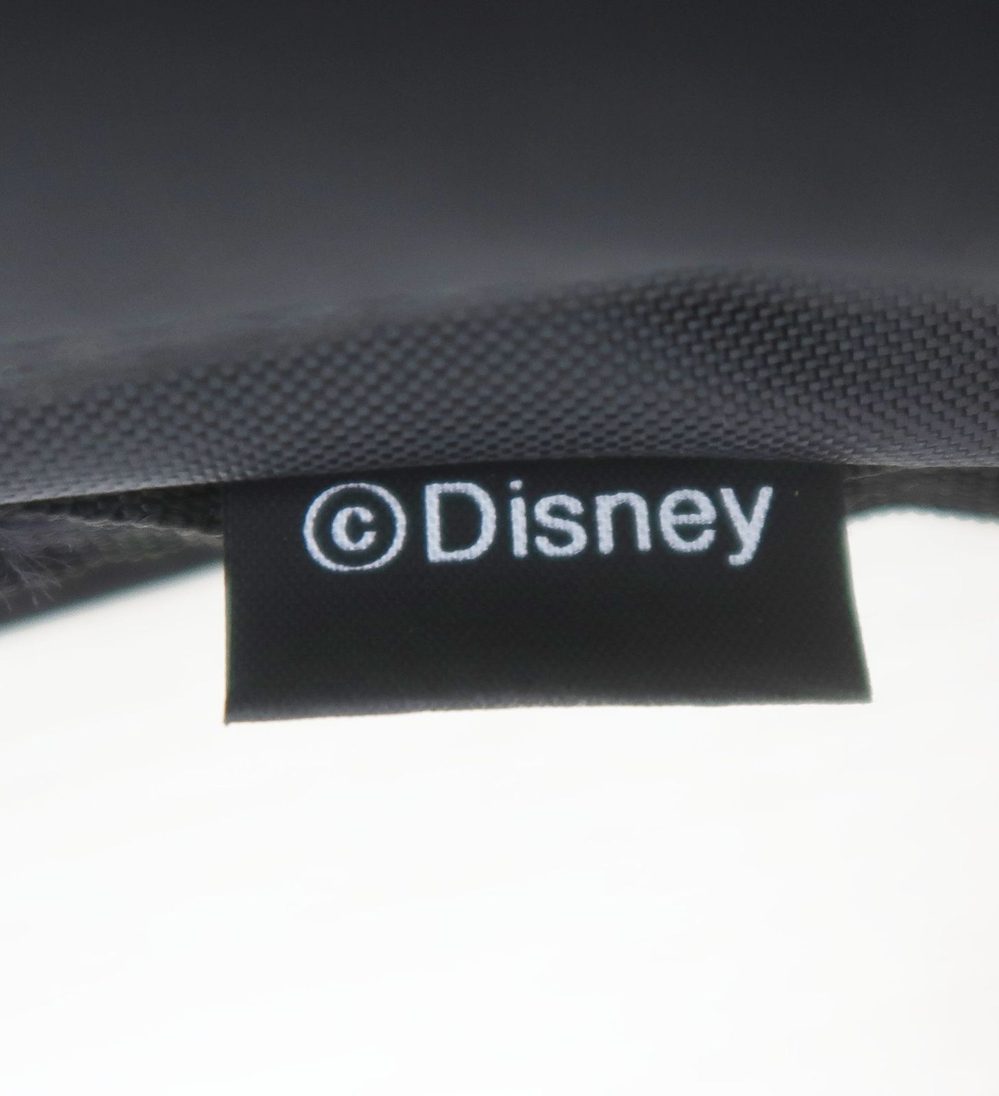 東京ディズニーシー