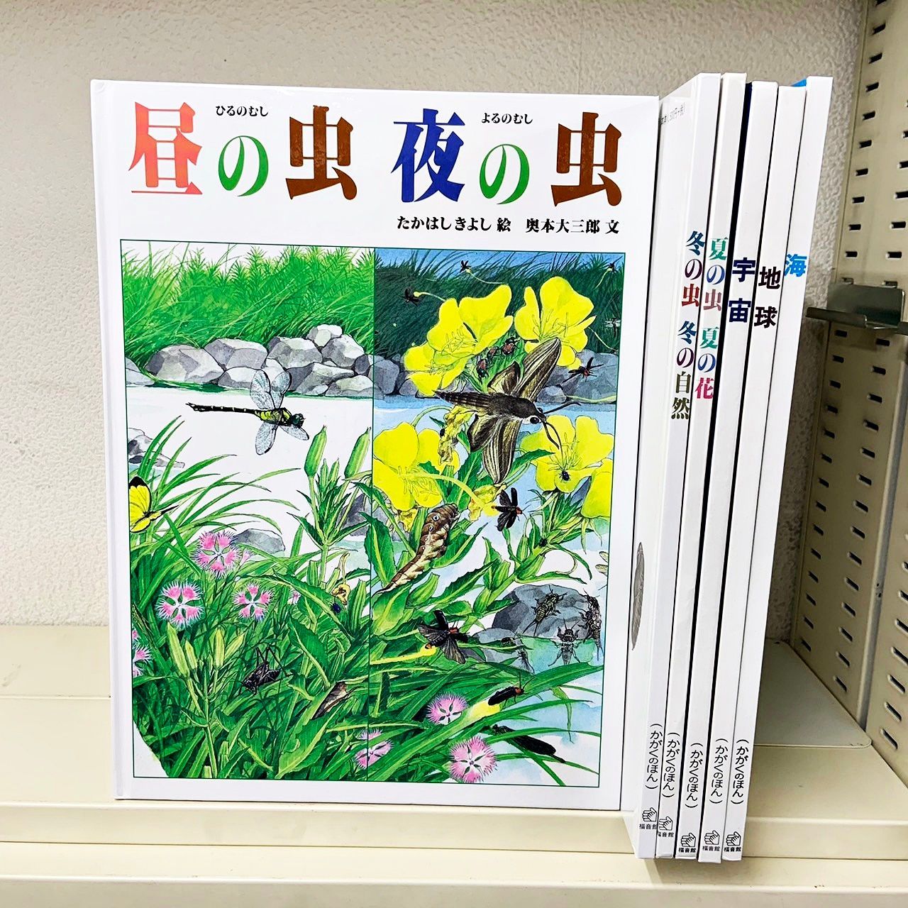 かがくのほん 6冊セット 福音館書店 絵本まとめて - メルカリ
