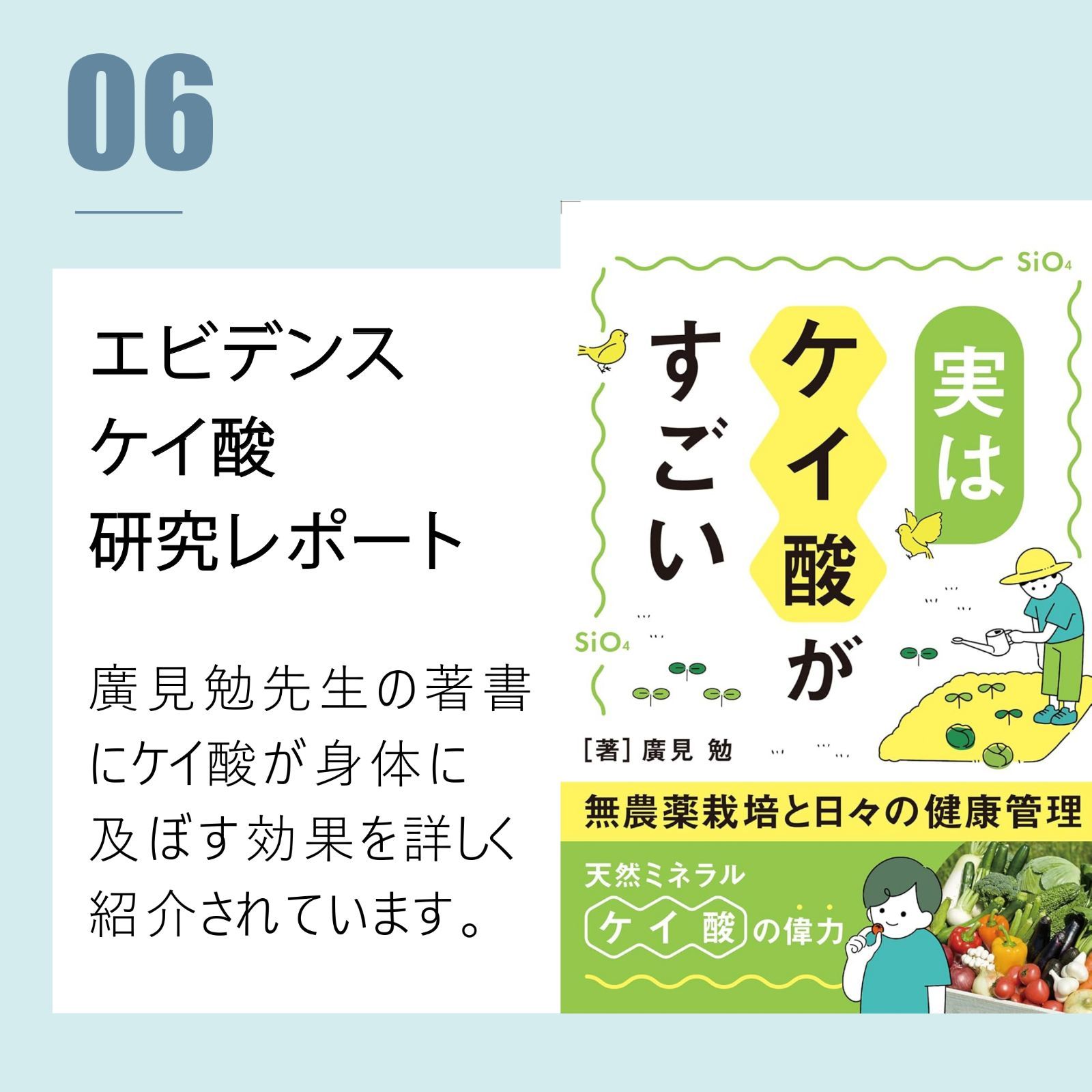 腸の吸収を最適化