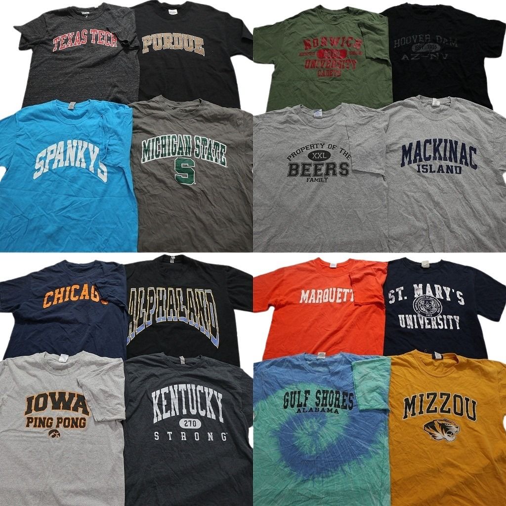 古着卸 カレッジ風 半袖Tシャツ 16枚セット メンズ Ｌ タイダイ柄 アーチロゴ チームロゴ 3段プリント 古着 NA0149