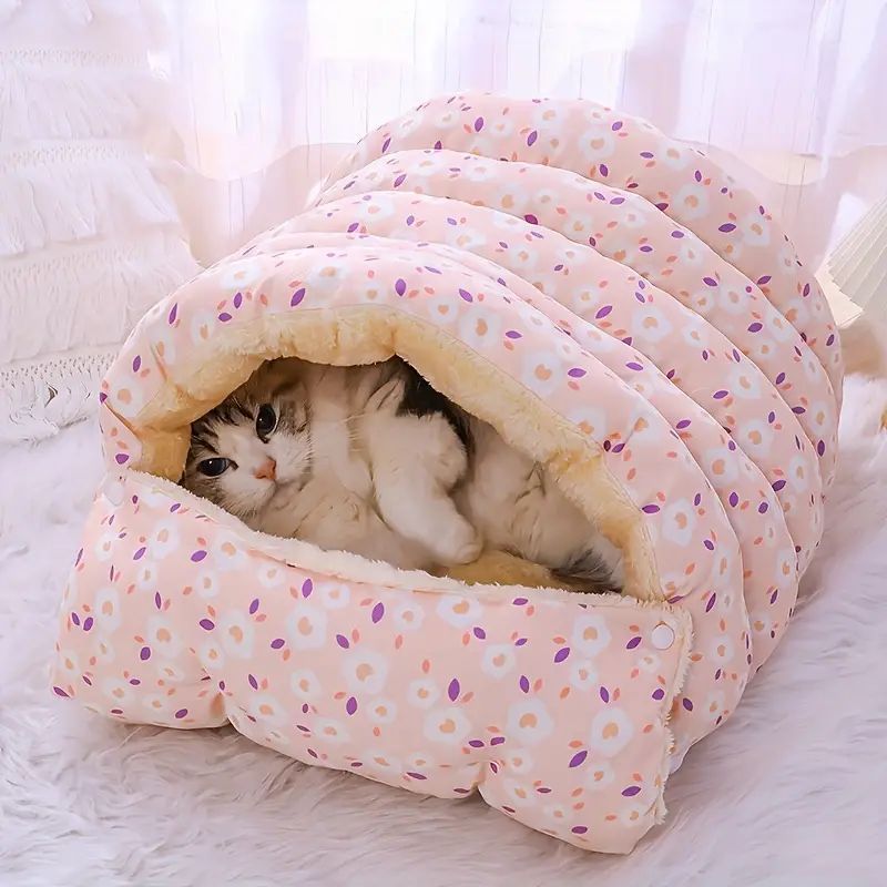 小型犬