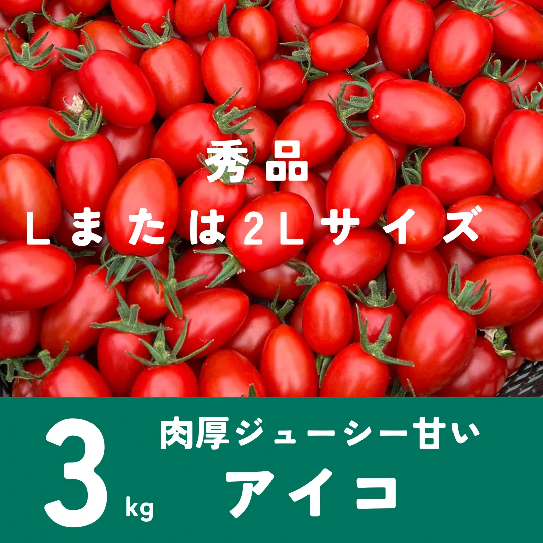 北海道産　ミニトマト　アイコ　秀Lか2L 3㎏