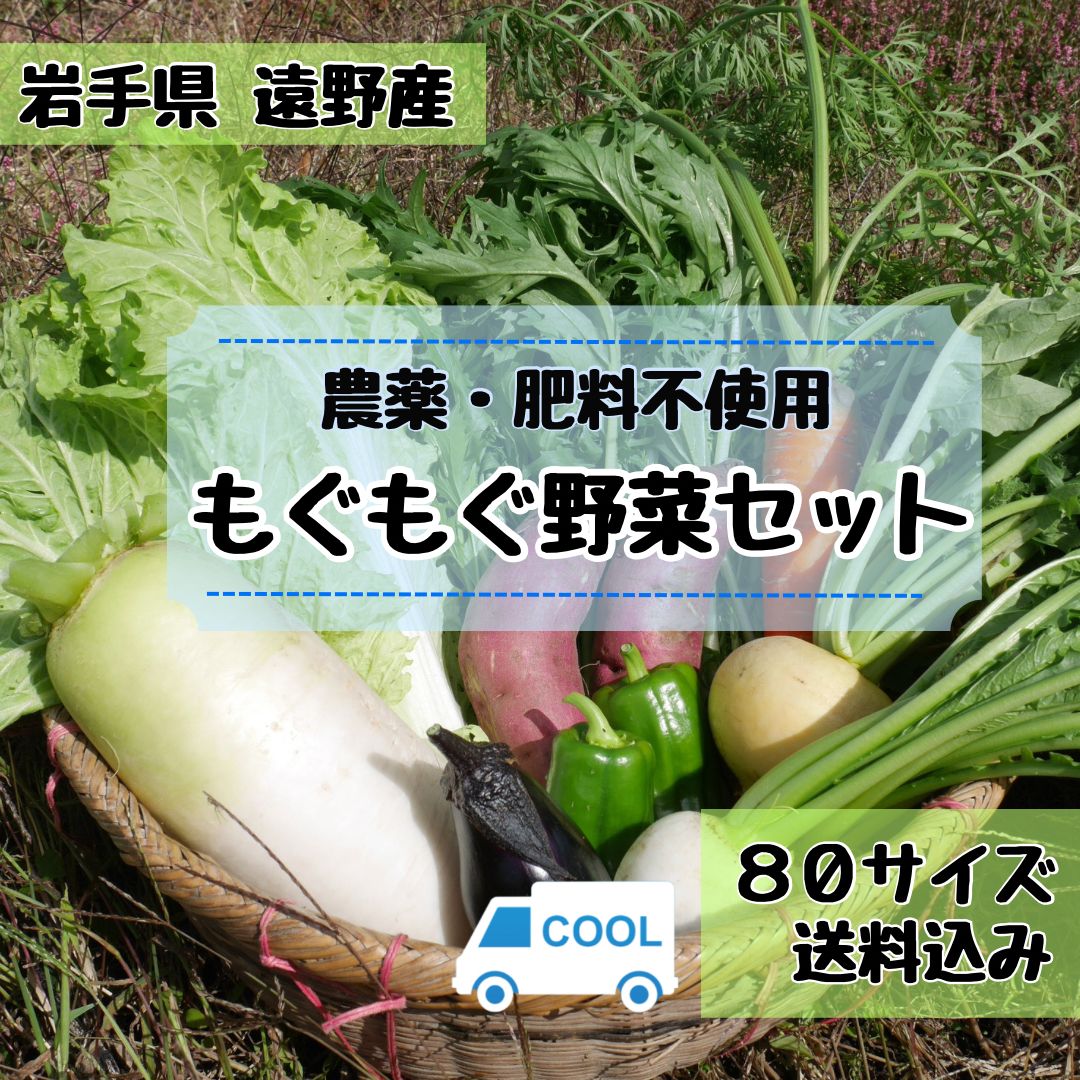 専用 旬野菜セット 農薬不使用 80size - 食品