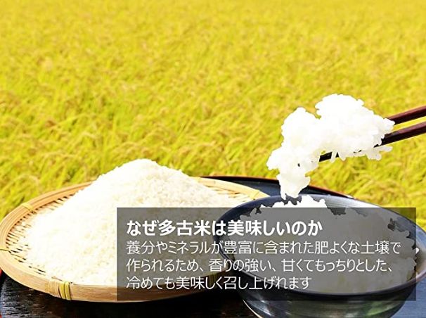 米 美味しいお米