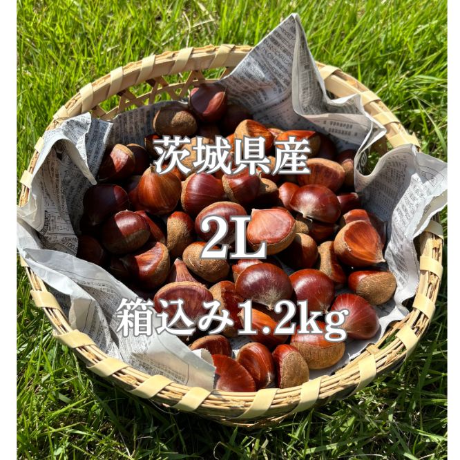 茨城県産 生栗 箱込み1.2kg - メルカリ