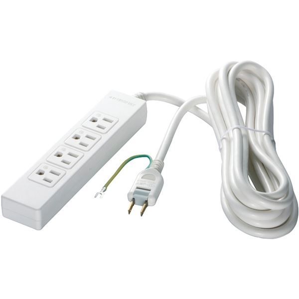 法螺貝①　貝殻　標本 法螺貝① 貝殻 標本