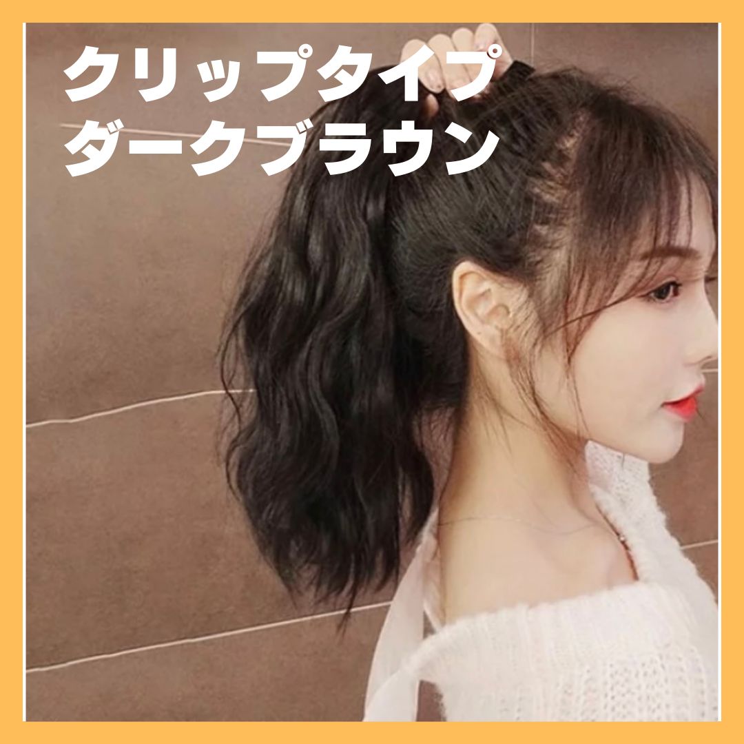 ダークブラウン エクステ ポイントウイッグ クリップ ヘアアレンジ