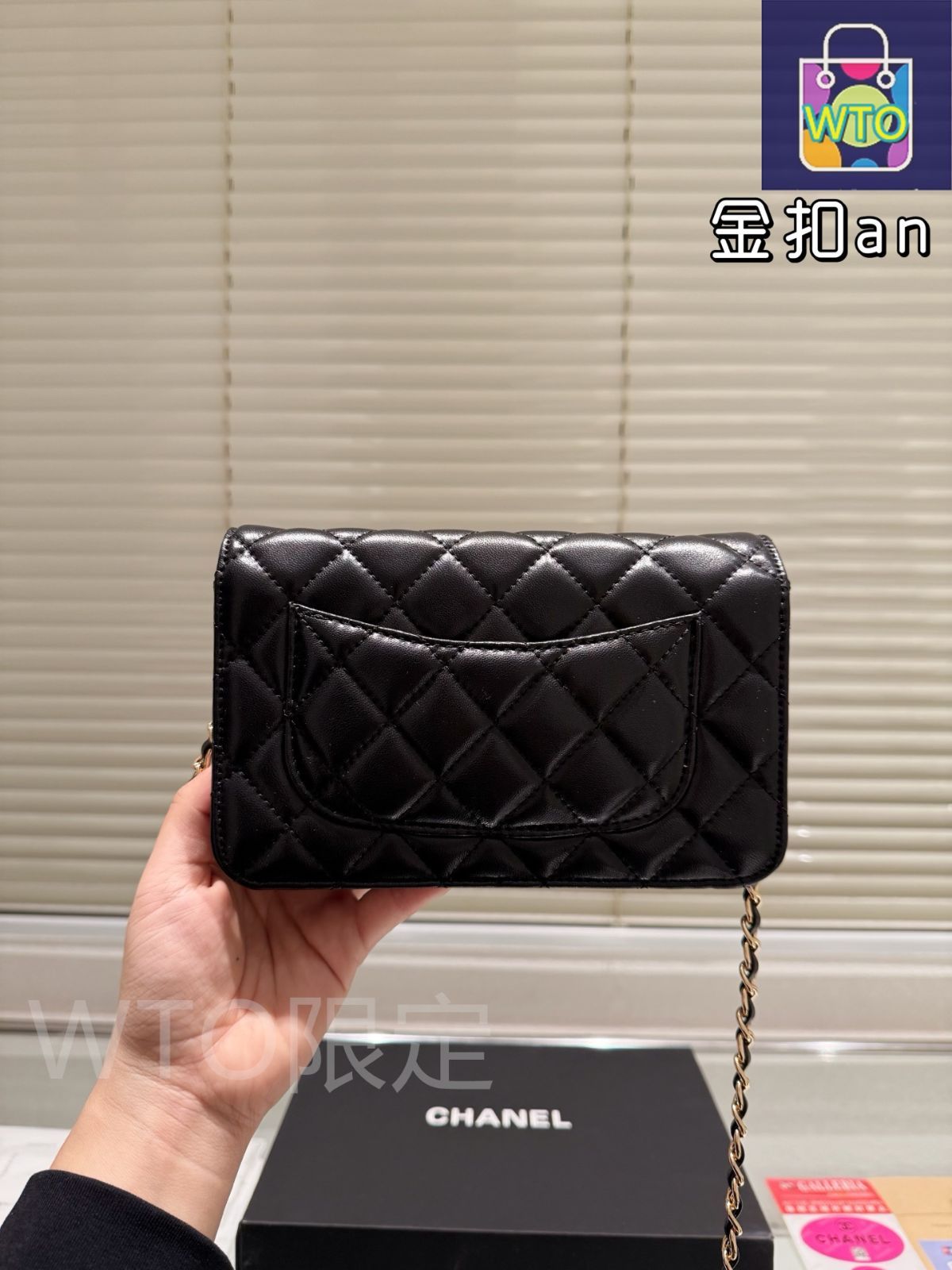 爽やかで上品な装い★【CHANEL】ウォレットオンチェーン 今日特価】CHANEL Wallet on Chain - シャネル ウォレット オン