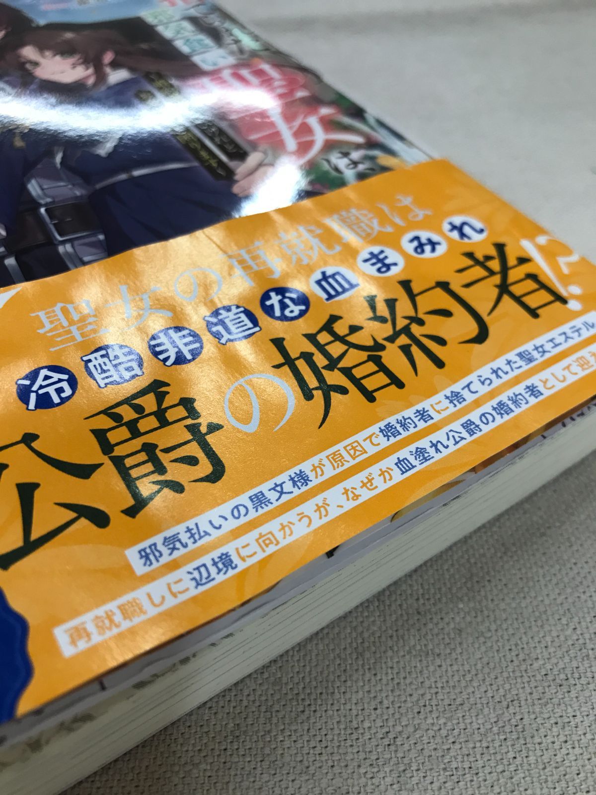 ★【中古】捨てられた邪気食い聖女は、血まみれ公爵様に溺愛される～婚約破棄はいいけれど、お金がないと困ります～