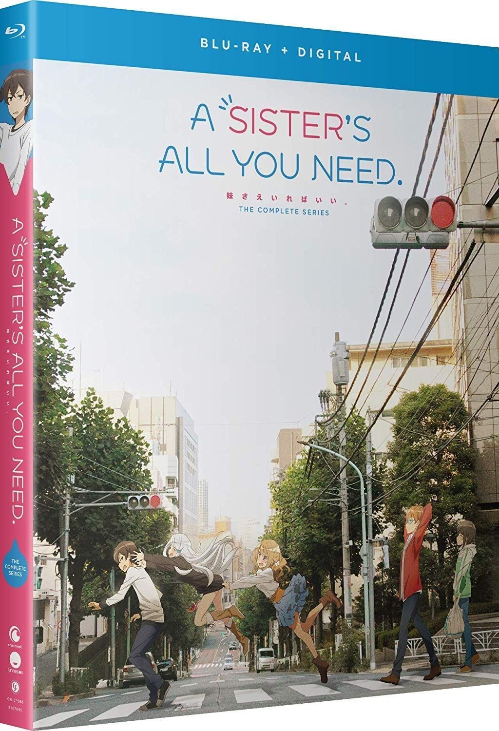 A Sister s All You Need The Complete Series Blu-ray