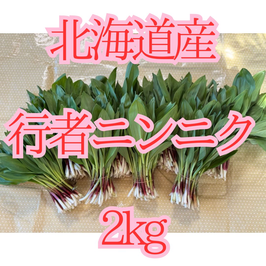 北海道道北産天然行者ニンニク2kg  スーパーフード