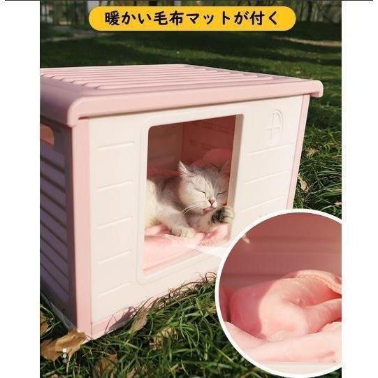 小型犬