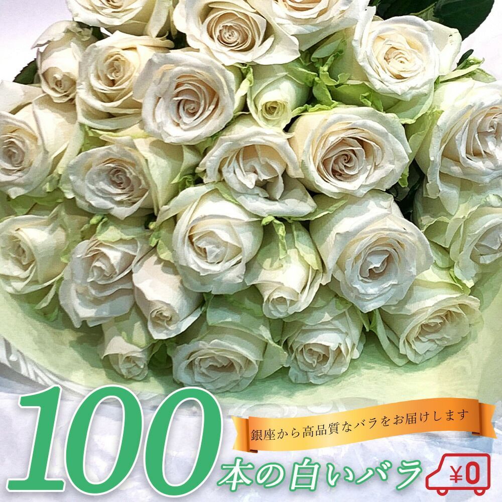 白バラ100本の花束 薔薇 銀座の白バラ 東京銀座クオリティ  土日も出荷 薔薇 ばら クリスマス プレゼント ギフト 生花 お祝 記念日 プロポーズ 結婚祝い 誕生日 卒業 結婚 退職 長寿 金婚式 妻