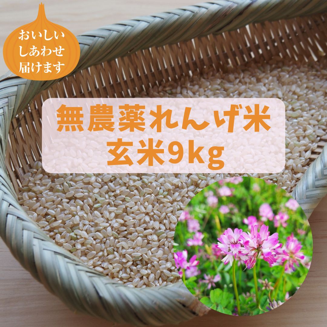 新色登場 【れんげ米無農薬玄米】20.0kg コシヒカリ又はあさひの