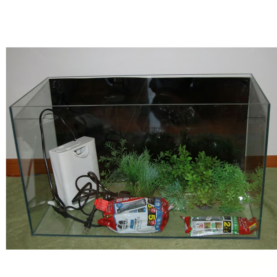 パ*ン様 アクアリウム引退品 パ*ン様 アクアリウム引退品