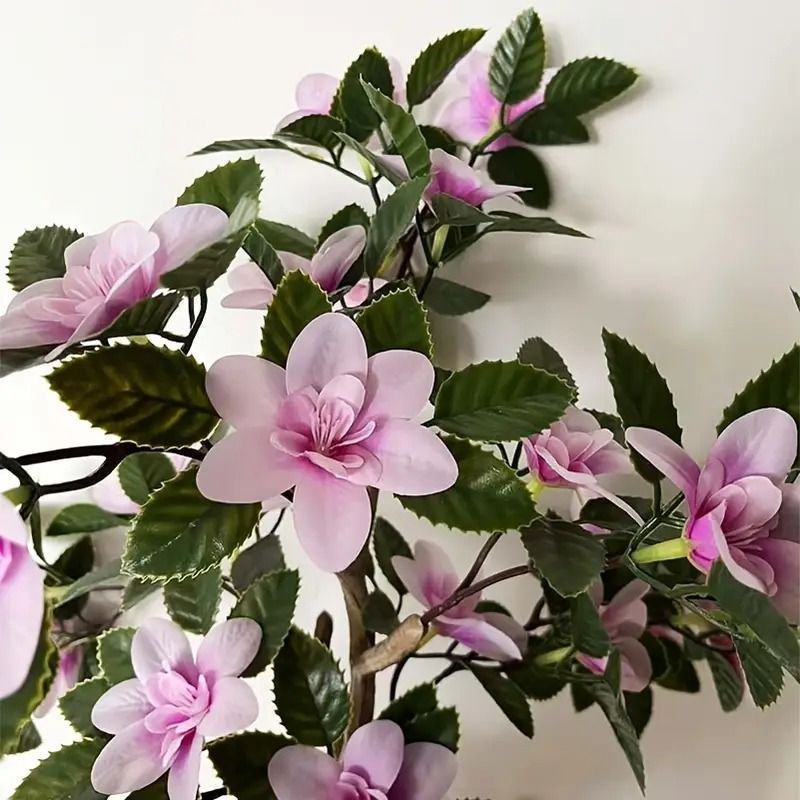 花 木