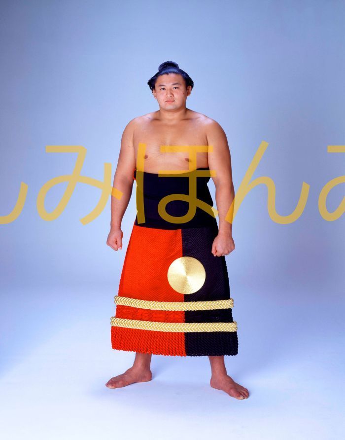 大相撲力士 塗装消しゴム 貴花田、若花田、小錦、曙、安芸ノ島、寺尾