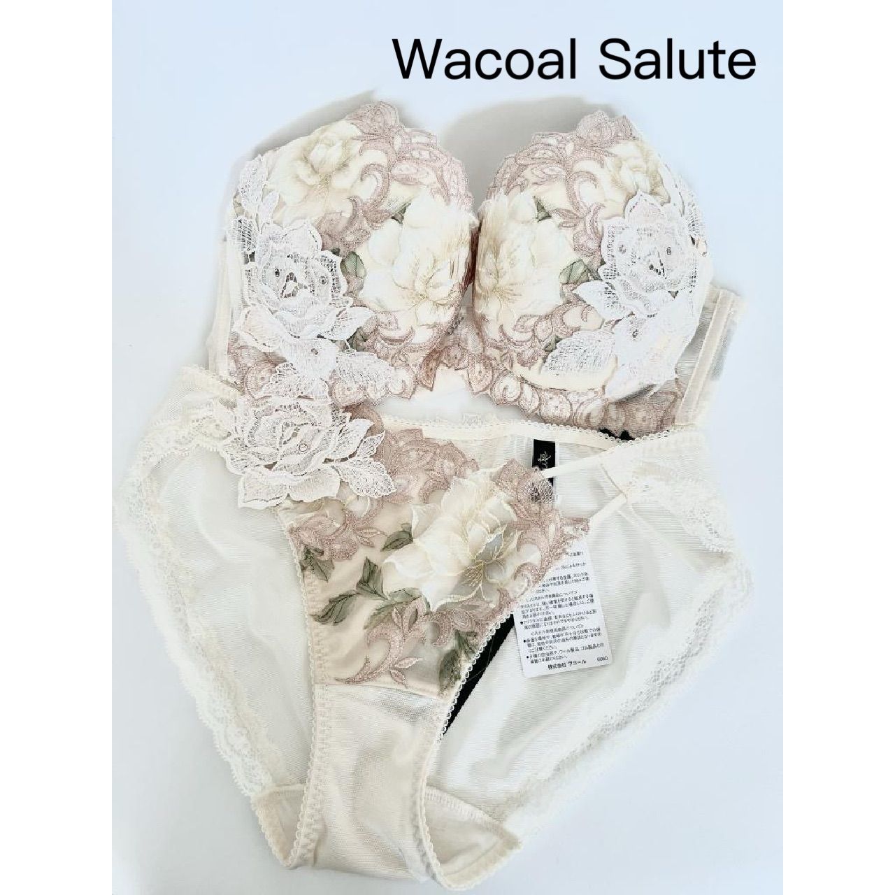 店舗 Wacoal Salute ワコールサルート ブラジャー＆ショーツ 97G マフィセント 2025年製 日本製 E75|L ランジェリー 下着 送料込み 6456896