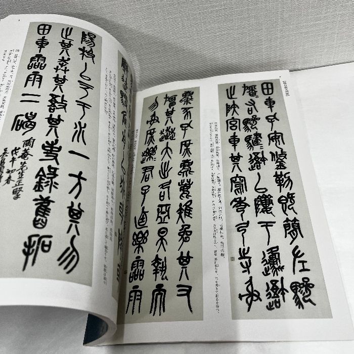 中国法書選 60 呉昌碩集 二玄社 中国書道 - メルカリ