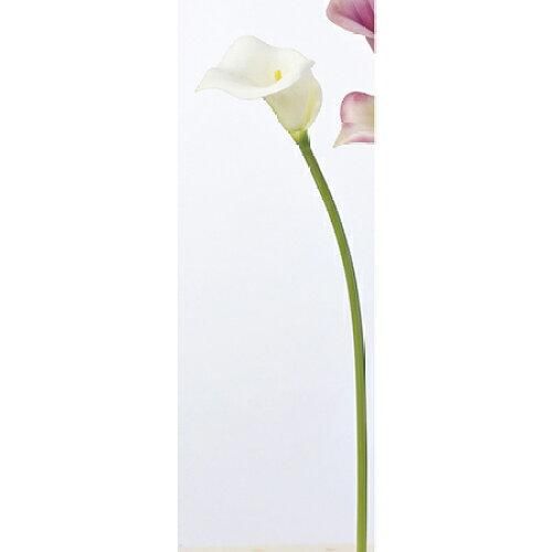 ライスフォース　プレミアムパーフェクトクリーム15g 6個セット プレミアムパーフェクトクリーム＜ハーフサイズ＞｜ライスフォース