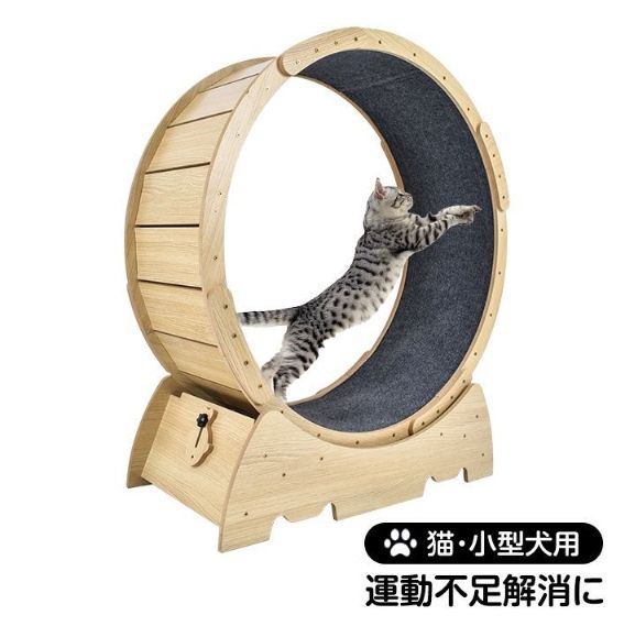 猫 トレッドミル キャット ホイール 安い ローラー ルームランナー 回し車 観覧車 安全 エクササイズ おもちゃ ランニング ペット