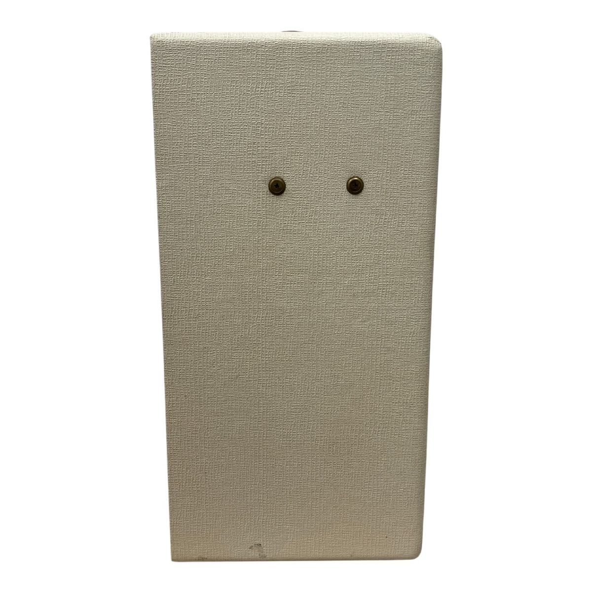 真空管ギターアンプ