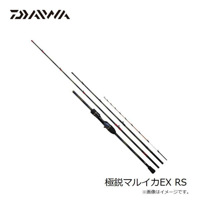 ダイワ 極鋭マルイカEX RS | 釣具 釣り フィッシング - メルカリ
