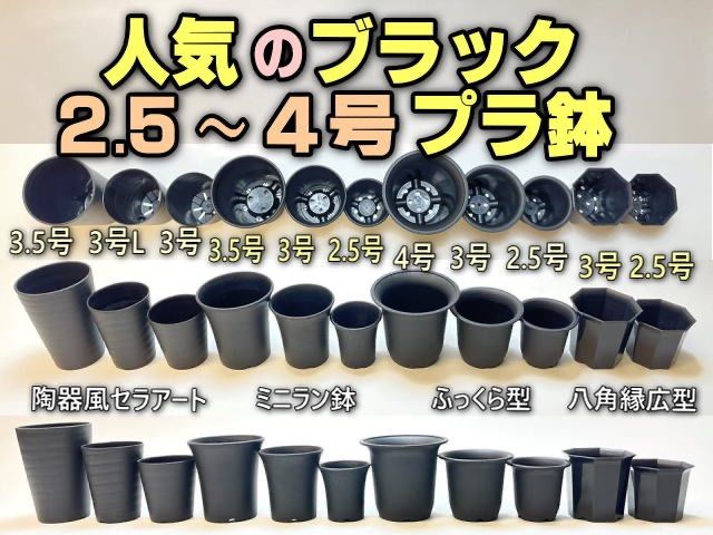 プレステラ深鉢90型- 黒/白/混色を選べる10鉢セット*多肉植物 プレステラ深鉢90型- 黒/白/混色を選べる10鉢セット*多肉植物