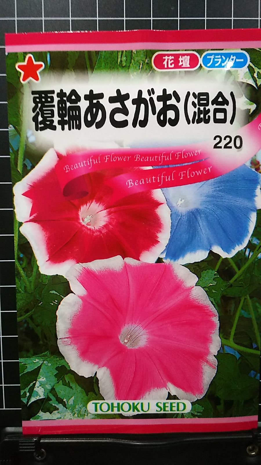 覆輪 あさがお 混合 朝顔 種 ３袋セット - メルカリ