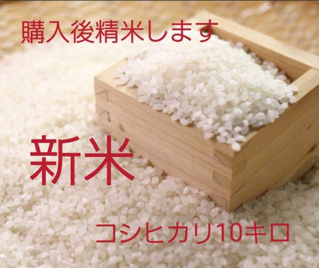 コシヒカリ 10キロ 新米-0