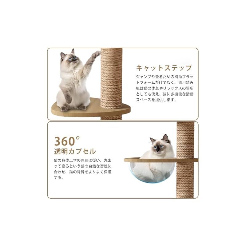 キャットタワー 透明」の人気商品一覧 | 安い商品を通販サイトから探す