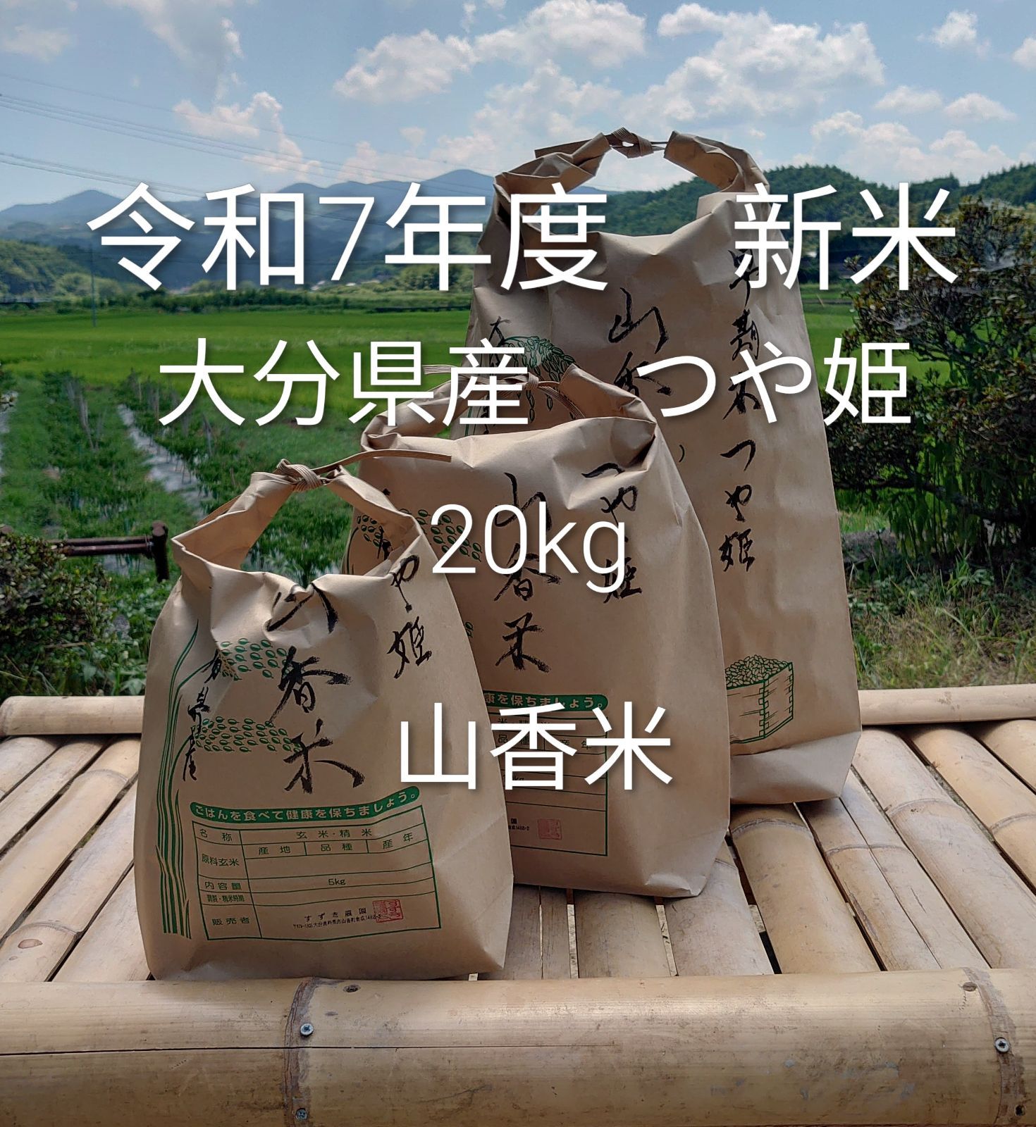 色彩選別済み 1等米 令和7年度 新米 20kg つや姫 山香米 大分県産