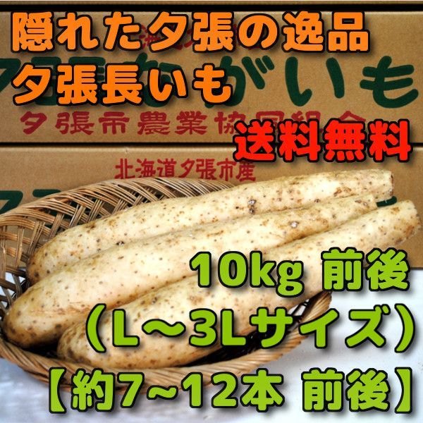 11月初旬ごろより入荷次第のお届け 夕張長芋 10kg 北海道夕張市産 Lサイズから3Lサイズ 約7本から12本前後 長いも ながいも ナガイモ お取り寄せグルメ