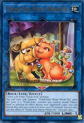 遊戯王カード 遊戯王オフィシャルカードゲーム デュエルモンスターズ 遊戯王カード