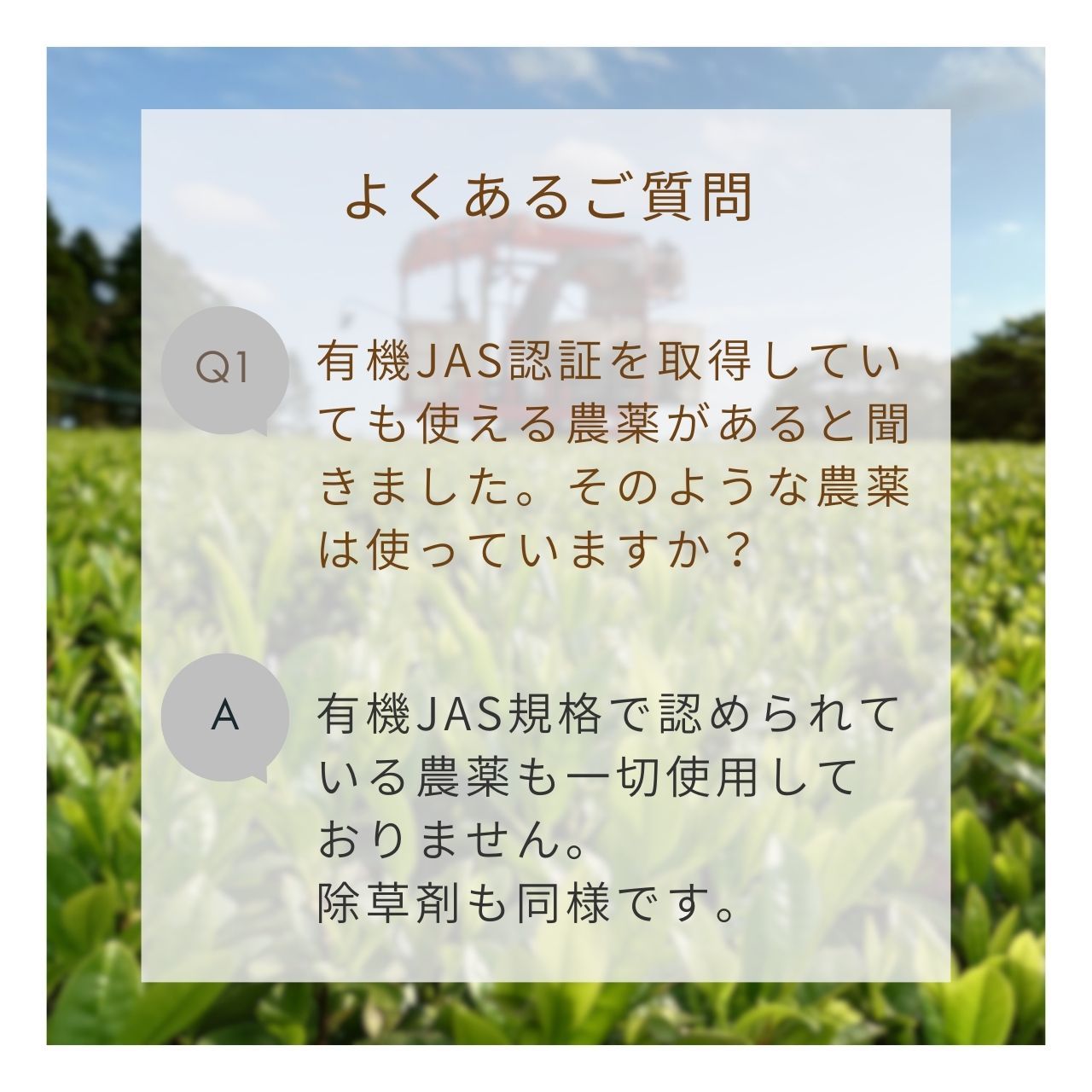 松下製茶 種子島の有機和紅茶ティーバッグ『やえほ』 40g(2.5g×16袋入り)
