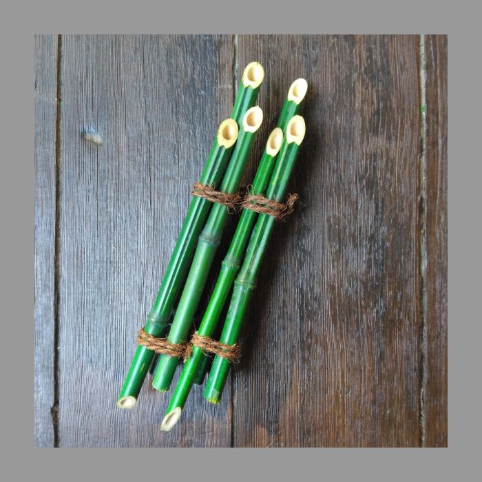 小 組ひも付１０本