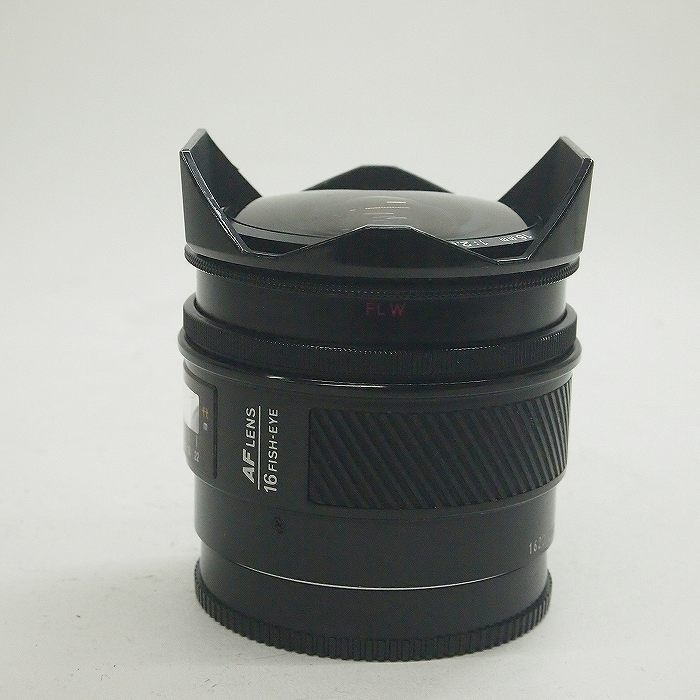 フィッシュアイ