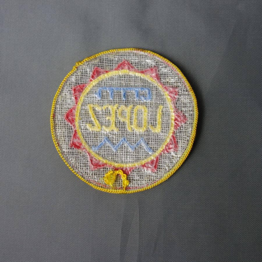 ヴィンテージ 刺繍 ワッペン 1970 1980 ネバダ州 カーソンシティ H ヴィンテージ 刺繍 ワッペン 1970 1980 ネバダ州 カーソンシティ H