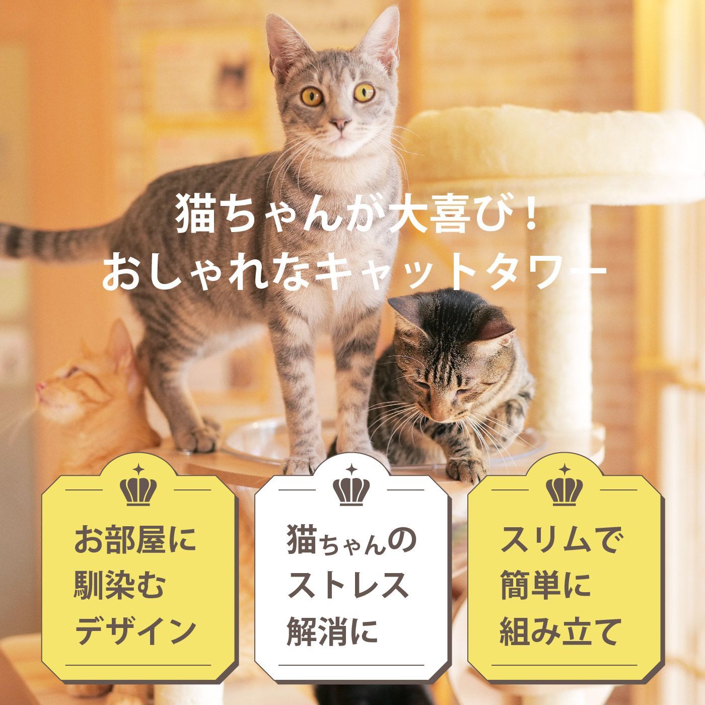 キャットハウス