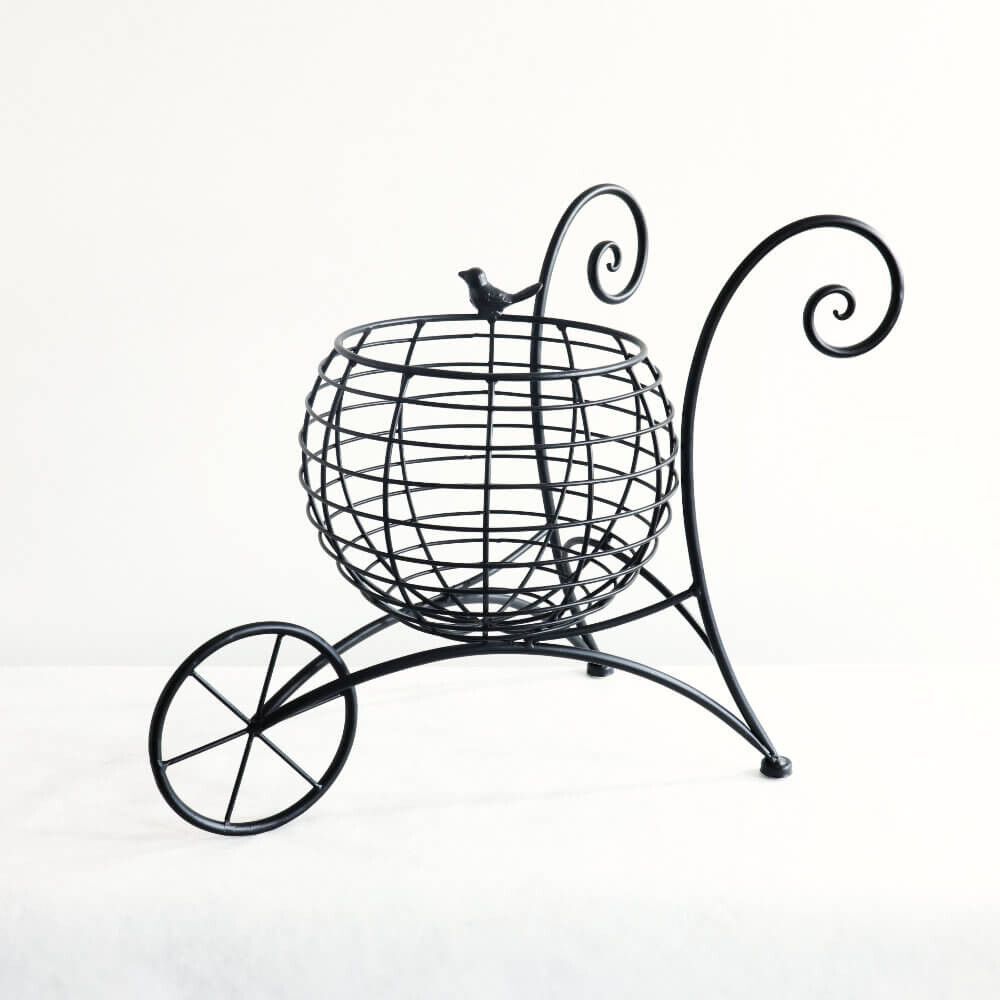 73 アンスリウム レッドクリスタリナム×ドラヤキ 大株 アンスリウム