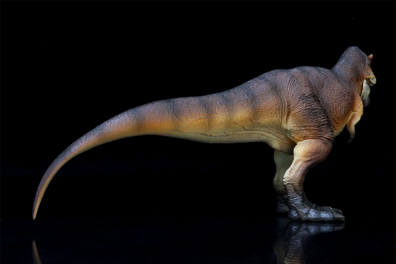 T rex ティラノサウルス模型 フィギュア W-dragon 万龍堂 1 35 T-REX