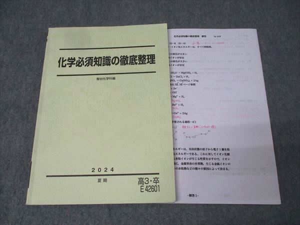 駿台 化学必須知識の徹底整理 テキスト 2024 夏期 沖暢夫 021m0D 駿台 化学必須知識の徹底整理 テキスト 2024 夏期 沖暢夫 021m0D