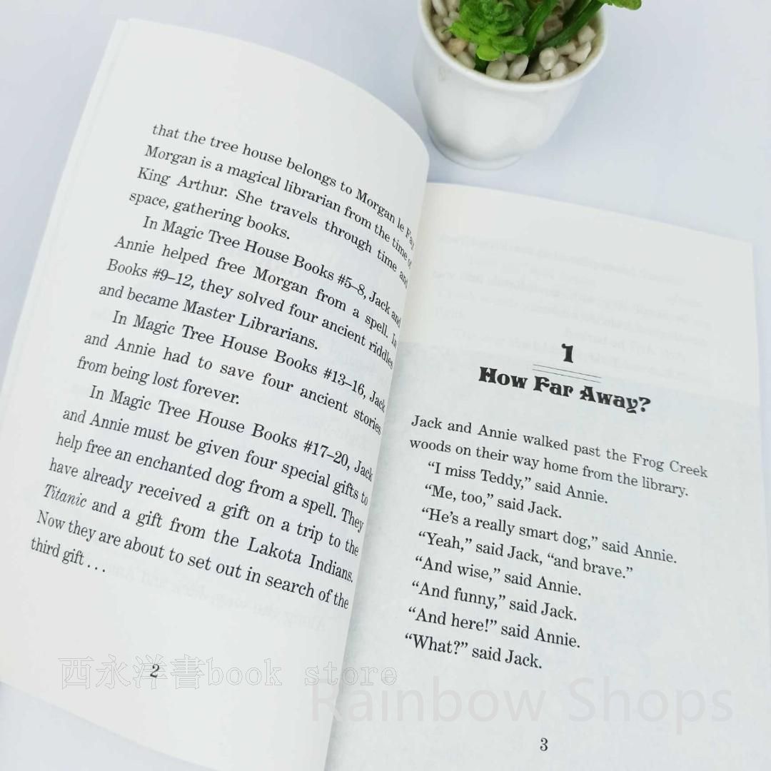 新品未使用】Magic Tree House 英語絵本 39冊 ワークブック1冊 洋書