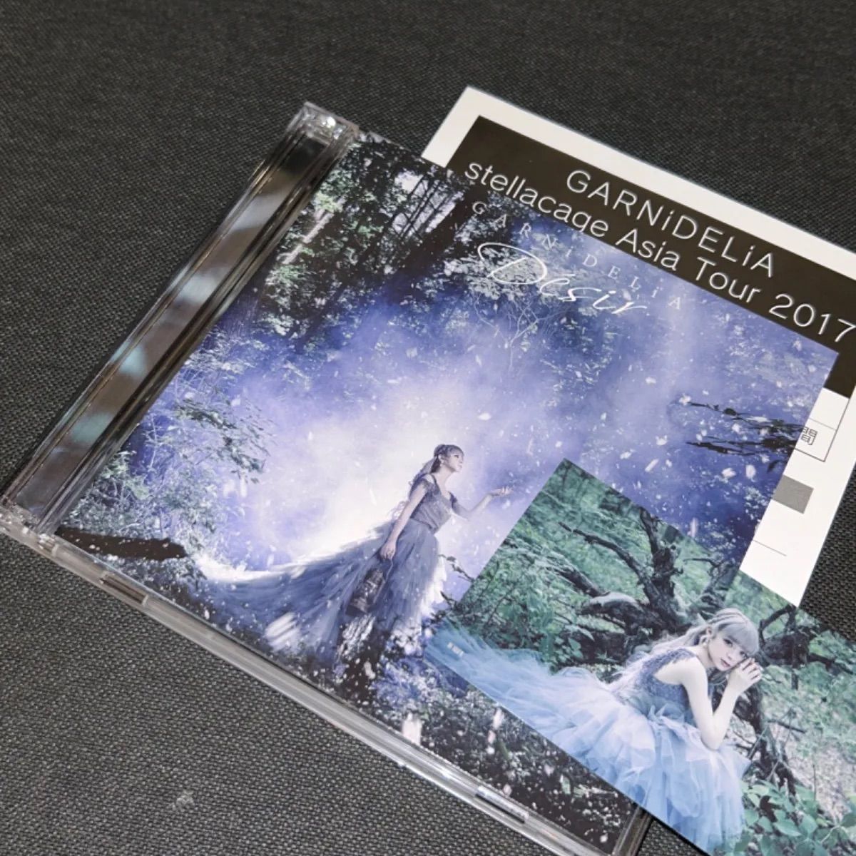 【サイン+カード付き】Desir GARNiDELiA サイン+カード付き】Desir GARNiDELiA