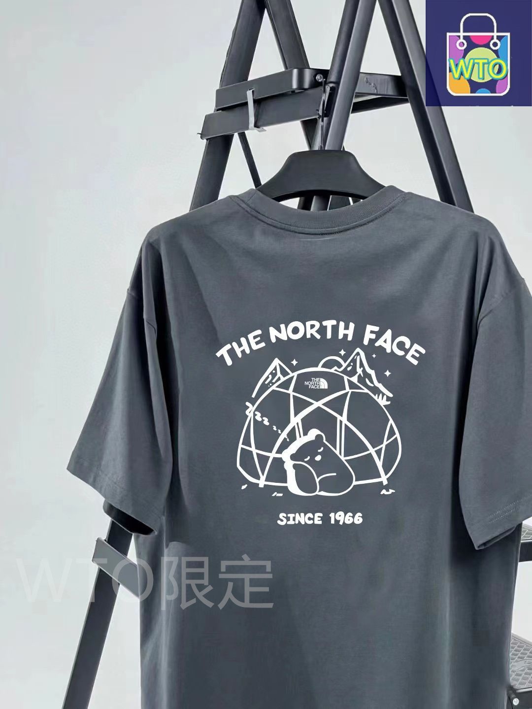 TNF ザ ノース フェイス 専門店と同じデザイン 前後ロゴのクマとキャンプアルファベット カップル用プリント T シャツ 男女兼用 WWW_GEBZETESISAT_COM_TR