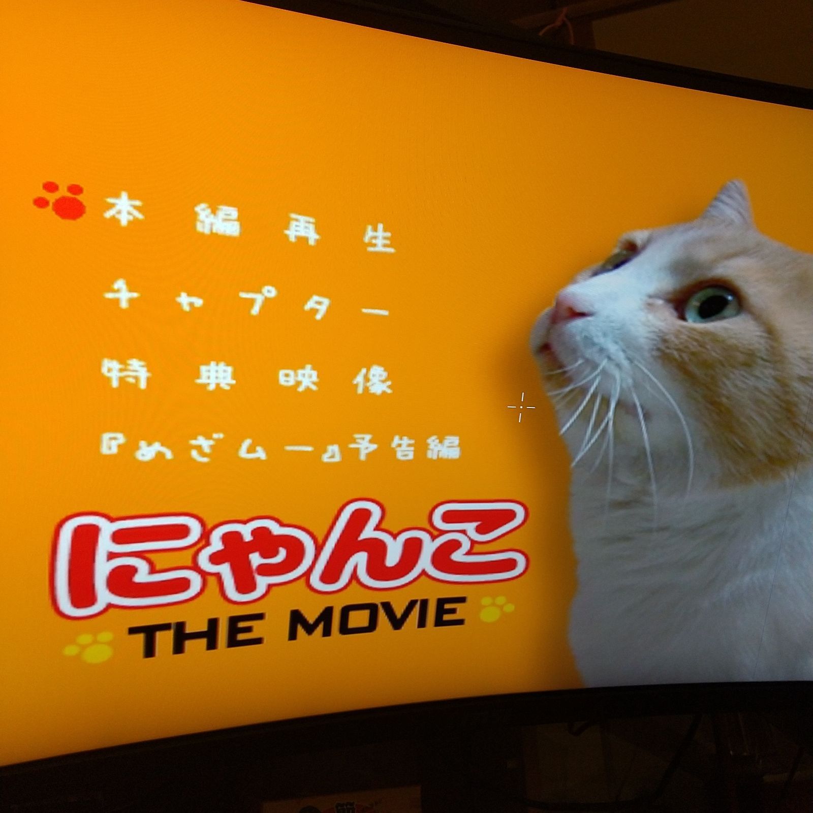 😽にゃんこ THE MOVIE('06FCC) 🐾🐾ほんとうにあった、心あたたまる